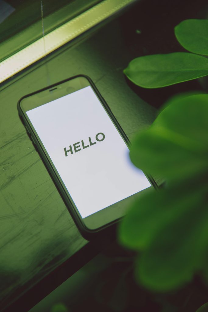 phone displaying hello behind green plant